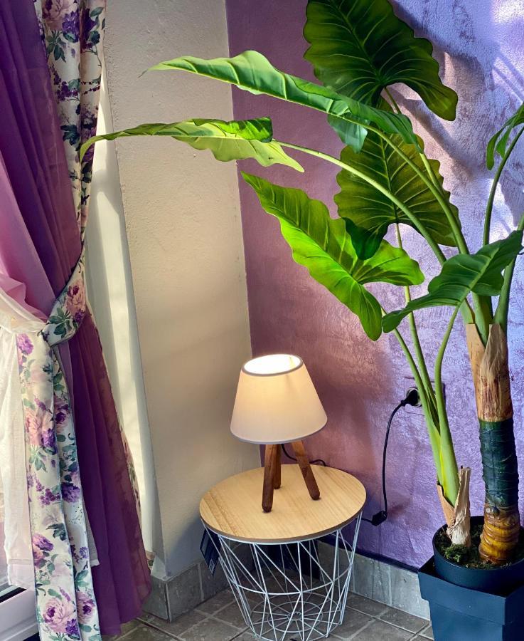Apartmani Maxim Kotor Bagian luar foto